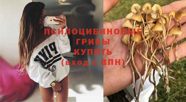 крисы Алексин