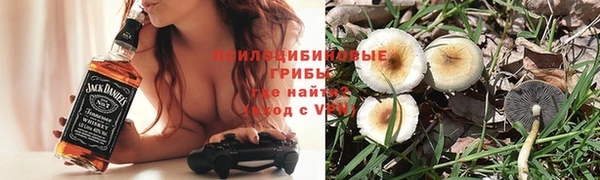крисы Алексин