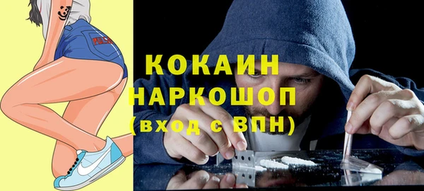 крисы Алексин