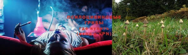 крисы Алексин