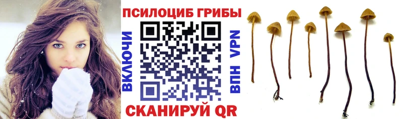магазин    кракен   Галлюциногенные грибы Psilocybine cubensis  Усолье-Сибирское 